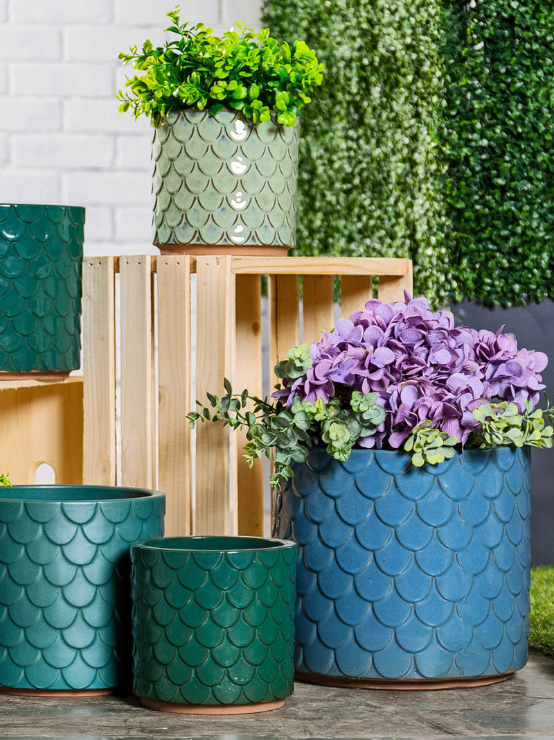 Pots & Planters - Gardening & Potted Plants Near You