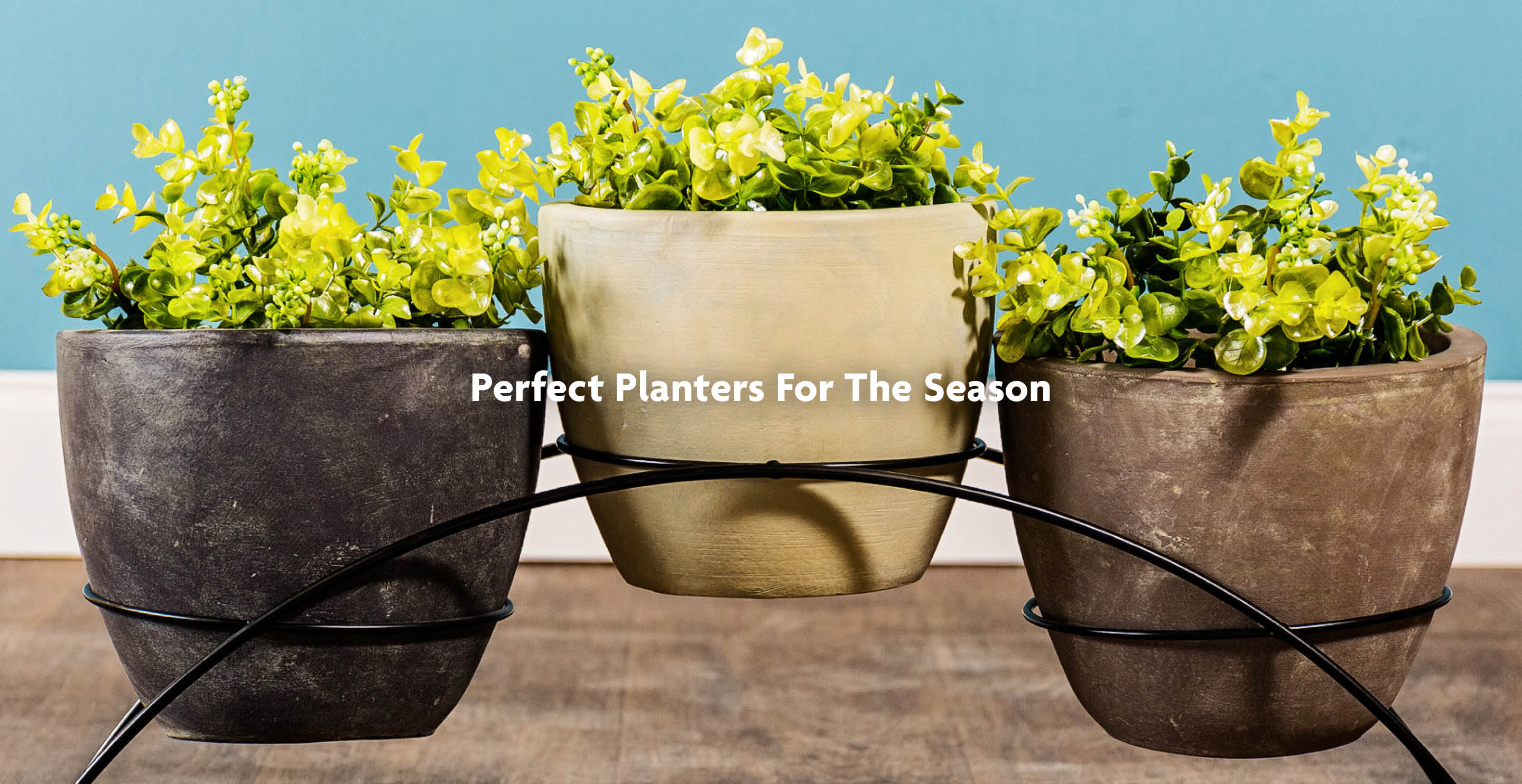 Pots & - Gardening & Potted Plants Near You | Time Pottery